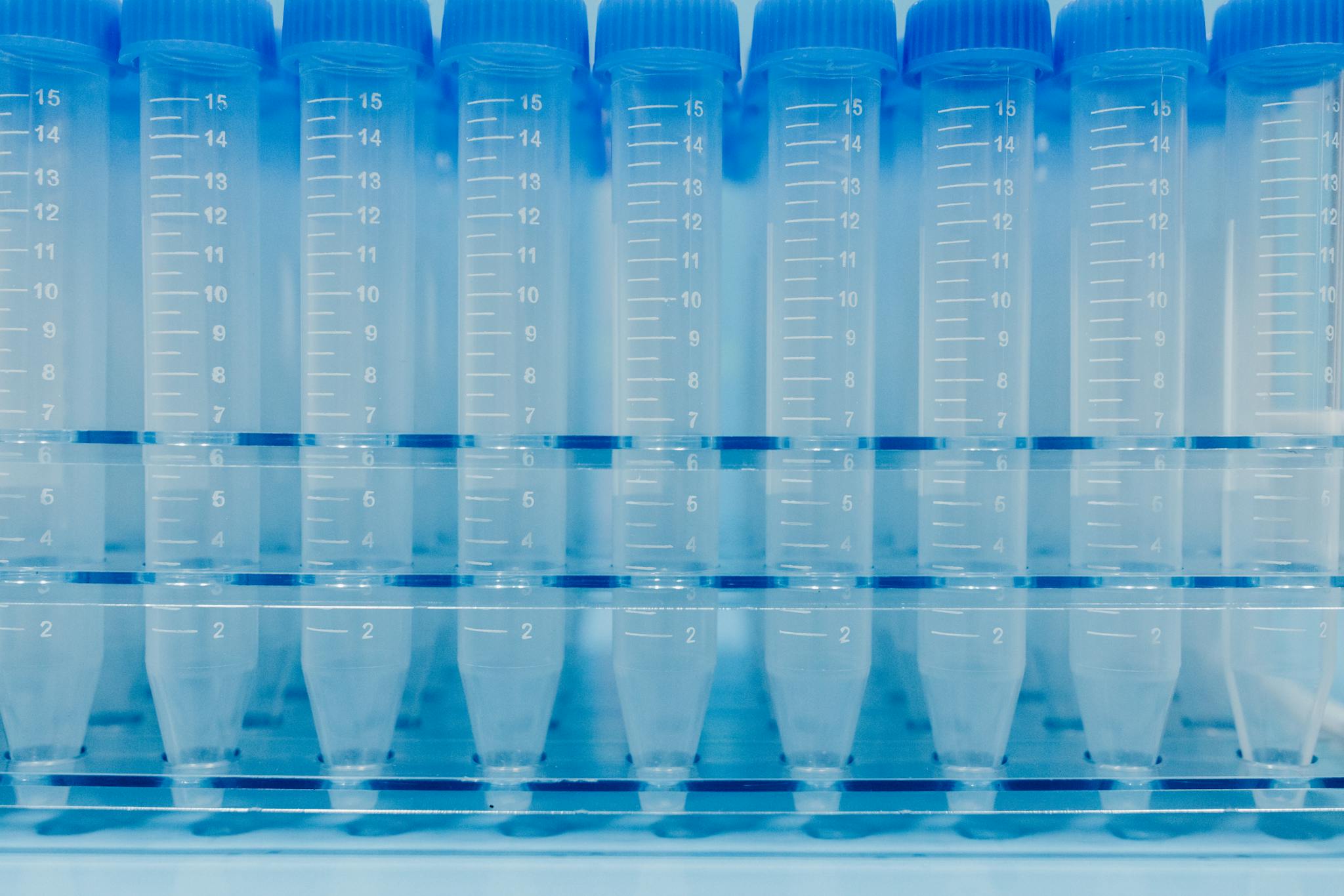 Array of clear lab test tubes with measurement markings, ready for scientific research.